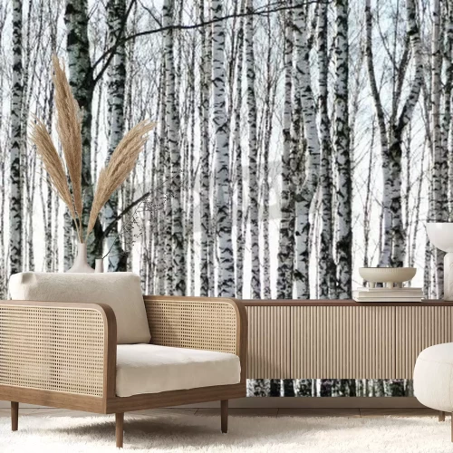 Papier peint  Bouleaux à écorce noire et blanche