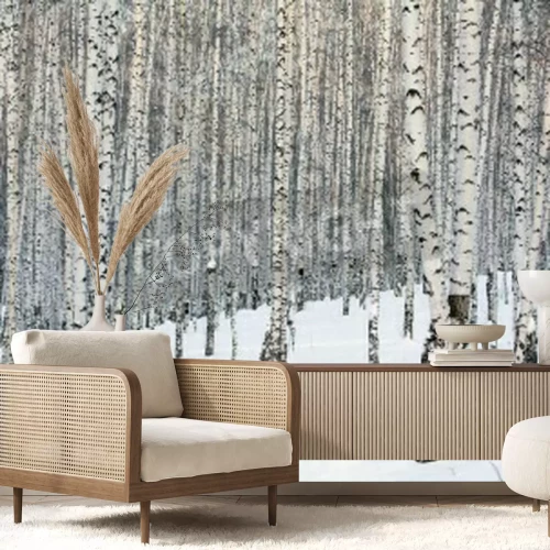 Papier peint  Journée de janvier dans une forêt