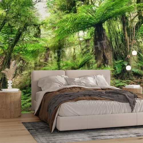 Papier peint  La forêt vierge pleine de lianes