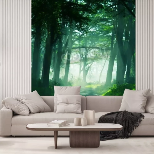 Papier peint  Forêt tropicale sombre