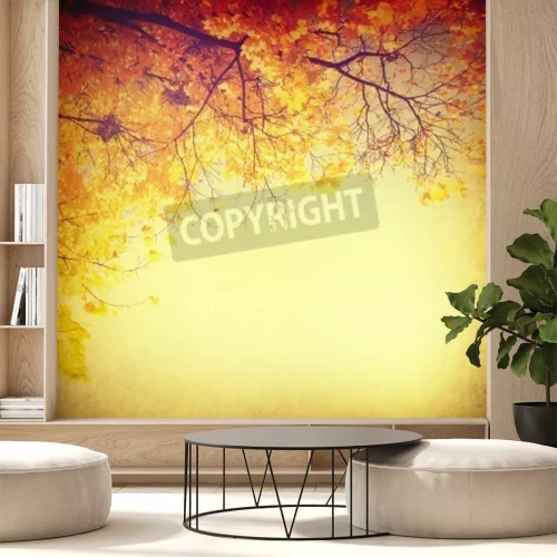 Papier peint  Paysage d'automne couleurs rétro