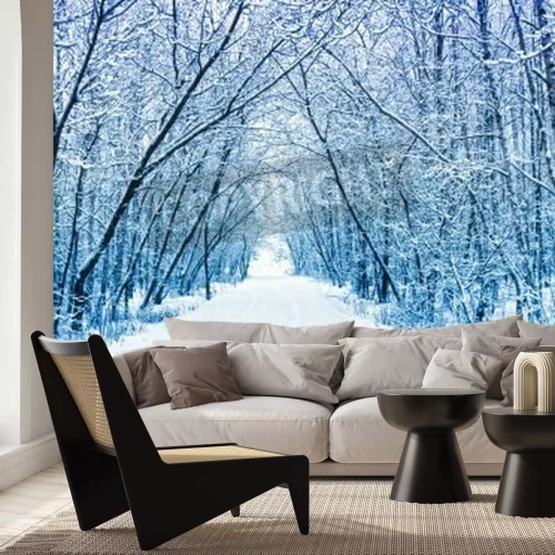 Papier peint  Route à travers la forêt de bouleaux d'hiver