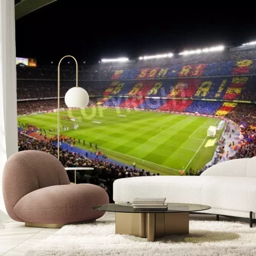 Papier peint  Stade vue panoramique