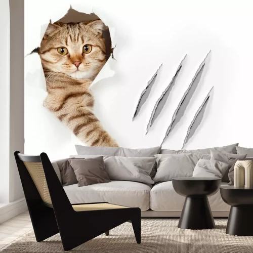 Papier peint  Chat 3D dans le mur
