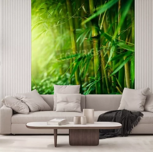 Papier peint  Jungle avec des bambous
