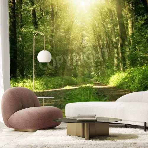 Papier peint  Le chemin à travers la jungle