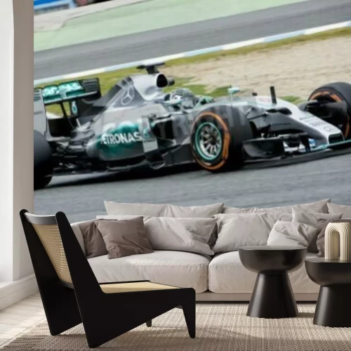 Papier peint  JEREZ DE LA FRONTERA, ESPAGNE - JANVIER 03: Nico Rosberg, pilote de la Mercedes de l'équipe à l'épreuve de Formule 1 dans Circuito de Jerez sur le 3 février 2015 à Jerez de la Frontera.