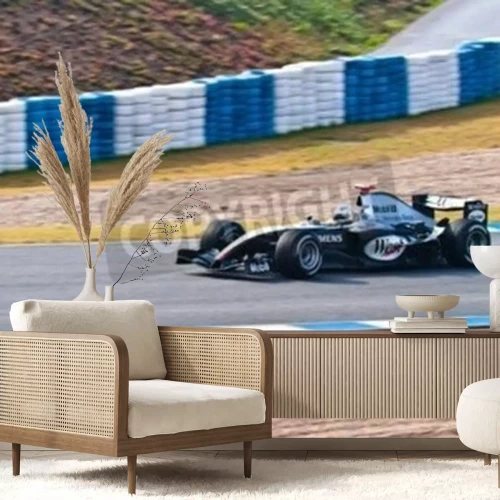 Papier peint  JEREZ DE LA FRONTERA, SPAIN - DEC 04: Alex Wurz of McLaren Mercedes F1 races during a training session on December 04, 2004, in Jerez de la Frontera, Spain