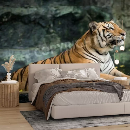 Papier peint  Tigre alerte sur un rocher