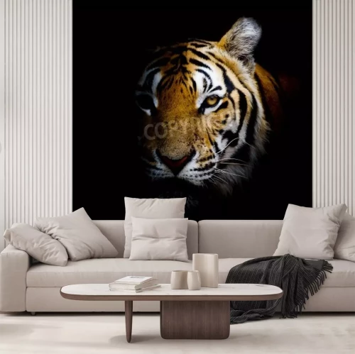 Papier peint  Tigre sortant de l'ombre