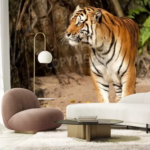 Papier peint  Animal d'Afrique dans la jungle