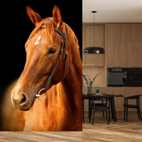 Papier peint  Cheval marron sur fond noir