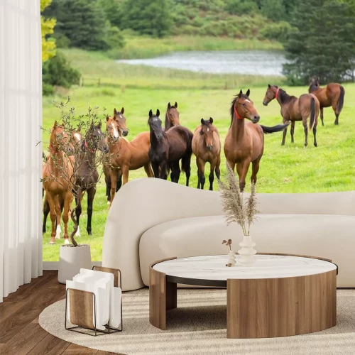 Sticker  Silhouettes de chevaux bruns sur une clairière verte