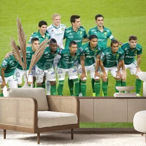 Papier peint  Joueurs de foot posant pour une photo