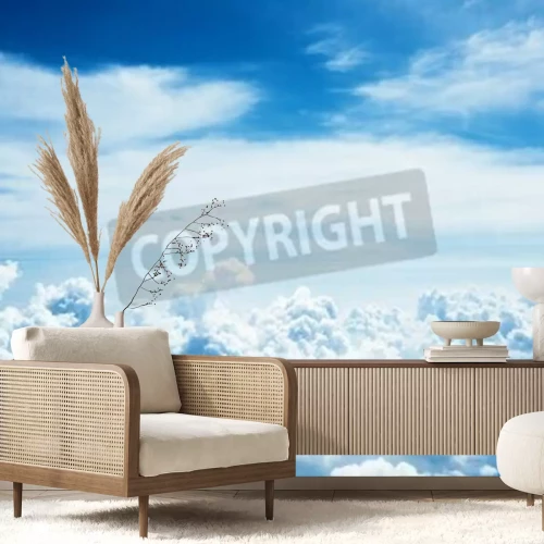 Papier peint  Homme avion et ciel