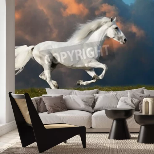 Papier peint  Cheval blanc sur fond de nuages