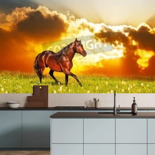 Papier peint  Paysage avec un cheval et le coucher du soleil