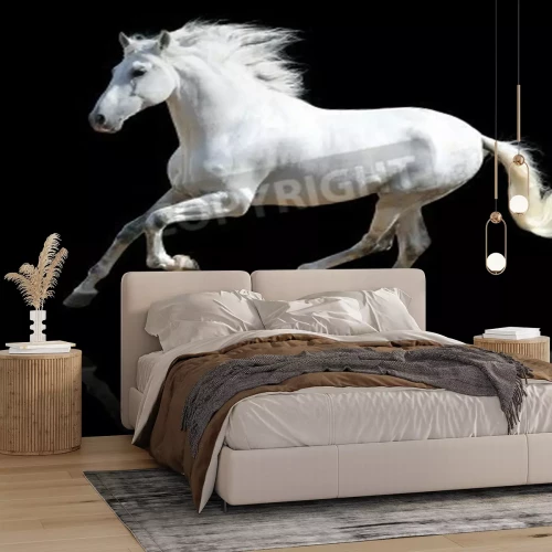 Papier peint  Cheval blanc qui court