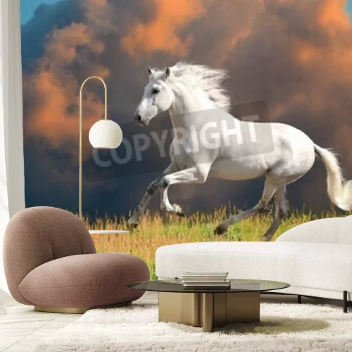 Papier peint  Cheval sur fond de nuages rouges