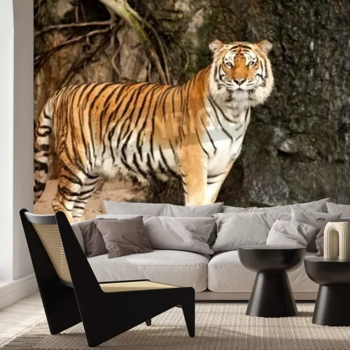 Papier peint  Tigre sur fond d'arbre