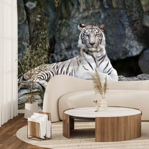 Papier peint  Jeune tigre au repos sur un rocher