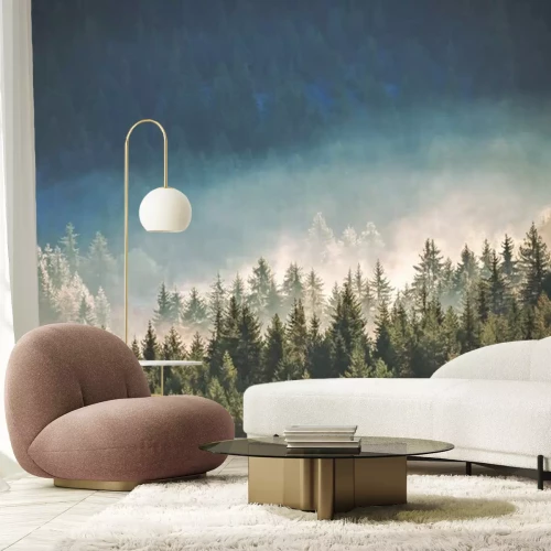 Papier peint  Une forêt de conifères dans le brouillard