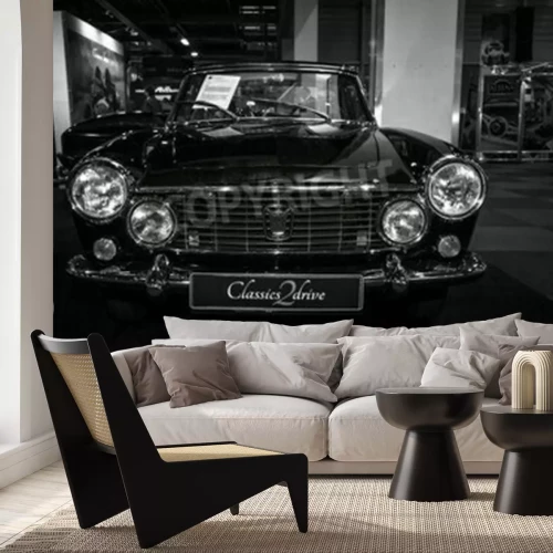 Papier peint  International Exhibition & Inter TopMobiel 2015