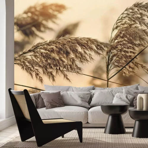 Papier peint  Thème naturel en gros plan