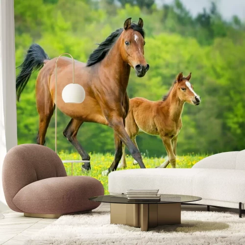 Papier peint  Un poulain et une jument au milieu des fleurs