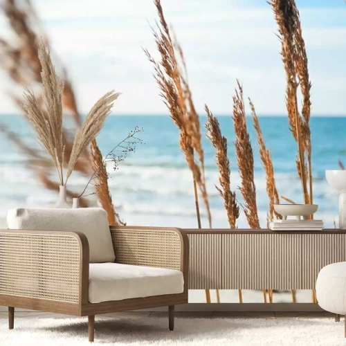 Papier peint  Plantes sur les dunes de mer