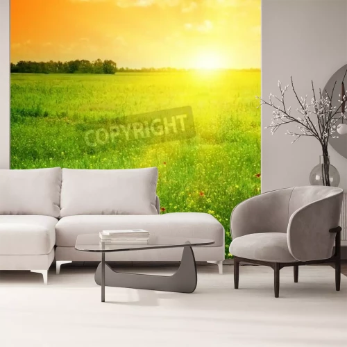 Papier peint  Lever de soleil orange sur un champ