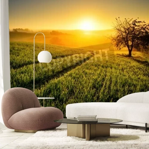 Papier peint  Coucher de soleil idyllique