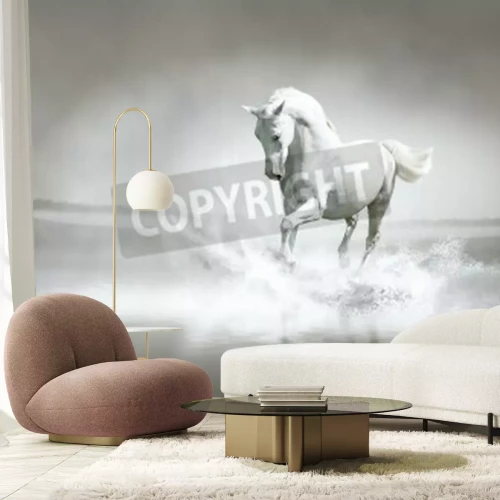 Papier peint  Cheval blanc dans l'eau