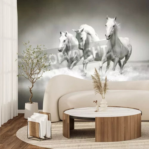 Papier peint  Trois chevaux dans l'eau