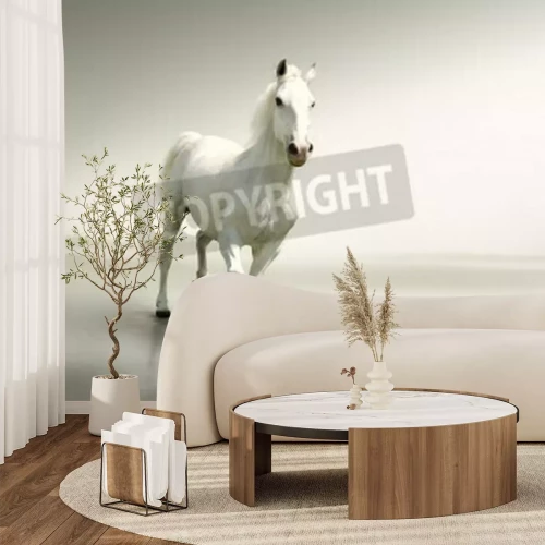 Papier peint  Animal blanc sur fond clair