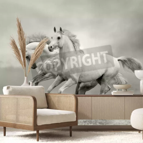 Papier peint  Chevaux en été