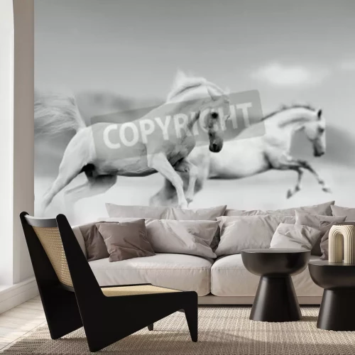 Papier peint  Chevaux qui courent fond noir et blanc