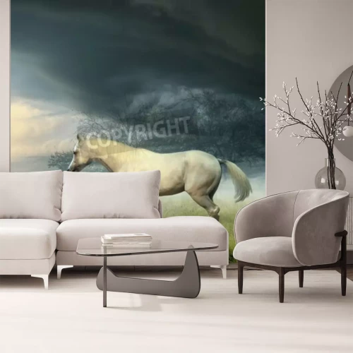Papier peint  Paysage orageux avec un cheval