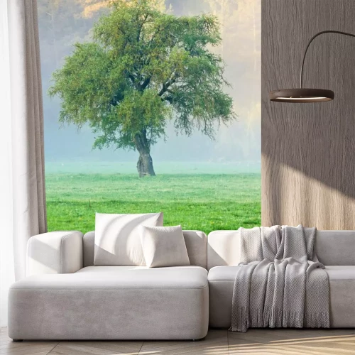 Papier peint  Arbre herbeux et brouillard