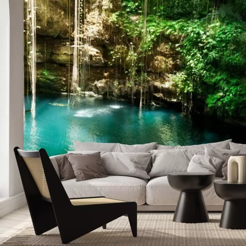 Papier peint  La jungle au Mexique