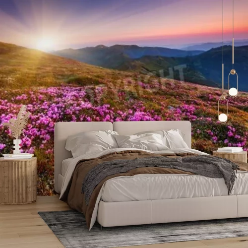 Papier peint  Rhododendron et lever de soleil