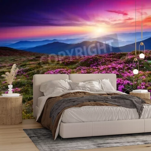 Papier peint  Fleurs violettes et lever de soleil