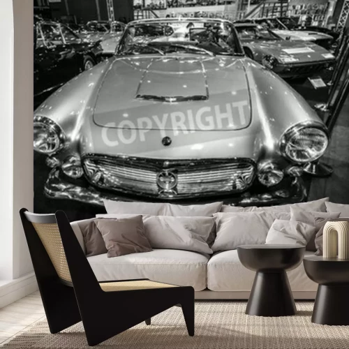 Papier peint  International Exhibition & Inter TopMobiel 2015