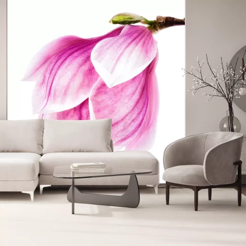 Sticker  Magnolia aquarelle rose