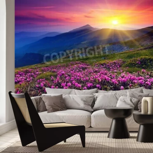 Papier peint  Fleurs de montagne roses et lever de soleil