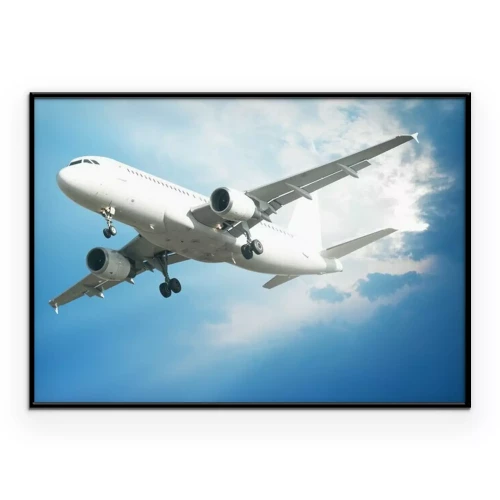 Poster  Avion de ligne dans le ciel