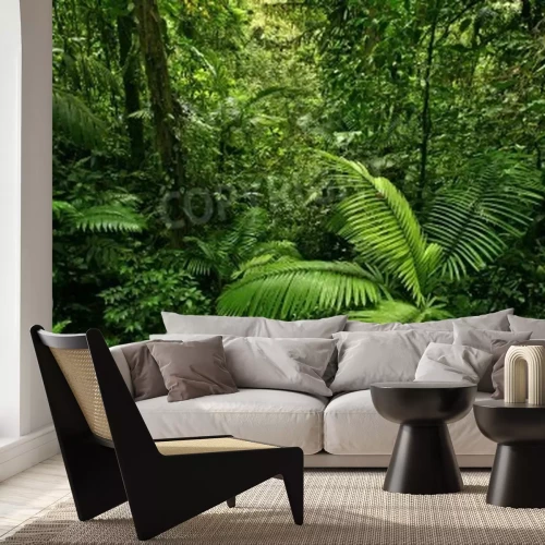 Papier peint  Une nature dense dans la forêt vierge