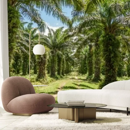 Papier peint  Les palmiers à Madagascar