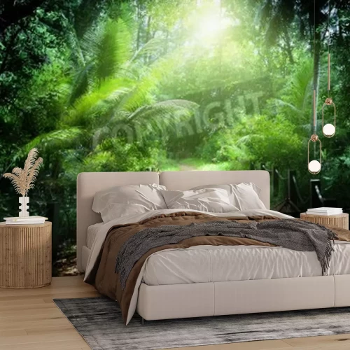 Papier peint  Le sentier de randonnée dans la forêt vierge