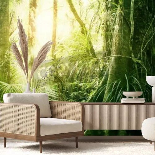 Papier peint  Tropiques le matin